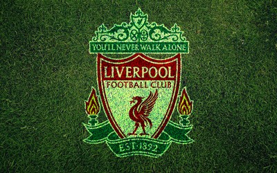 星空电竞讨论-伊朗足球联赛裁判误判引发罢赛